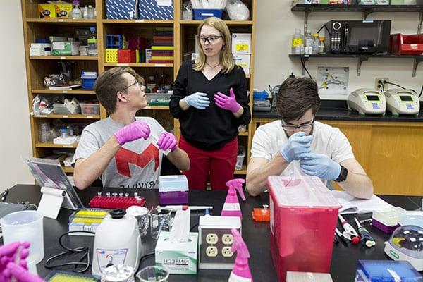 associate professor Stacy Donovan helps students find their true paths